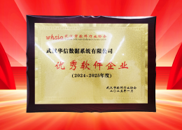 喜讯丨DB真人旗舰 DB数据获评2024~2025年度武汉市软件行业&ldquo;优秀企业&rdquo;、&ldquo;优秀工作者&rdquo;荣誉称号！